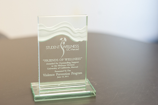 Friends of Wellness Award